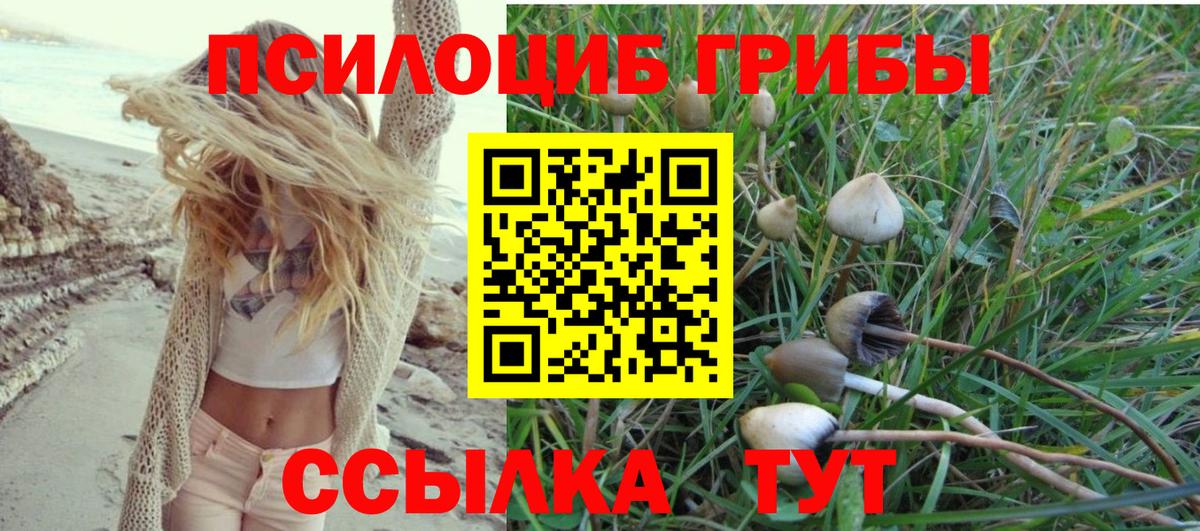 Крымск  Галлюциногенные грибы ЛСД  Вход с VPN 